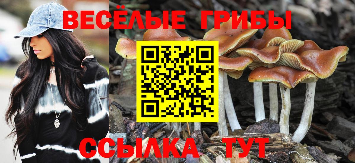 Псилоцибиновые грибы мицелий  Вход с VPN  Радужный  Псилоцибиновые грибы GOLDEN TEACHER 