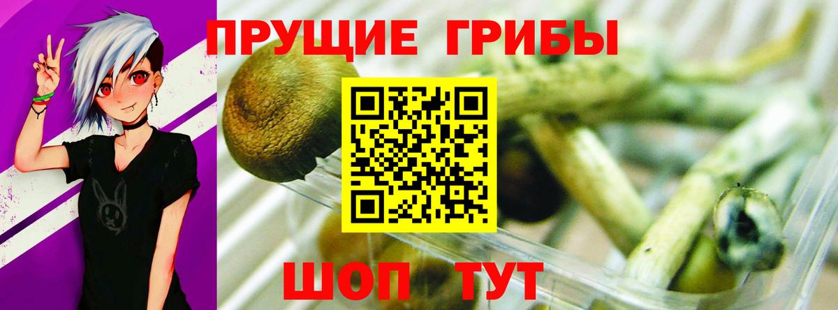 Псилоцибиновые грибы мухоморы Радужный
